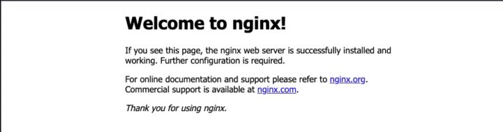 nginx-front